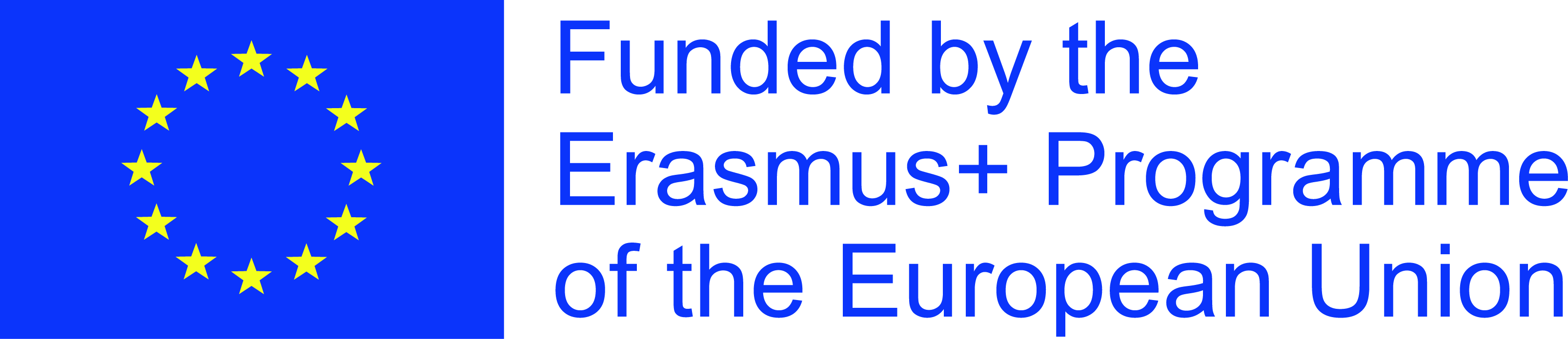 13 priedas. Logotipas EU veliava funded